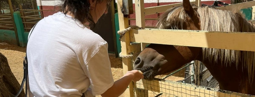 Visita de pacientes de SAMU Wellness a la Granja Escuela Cuna